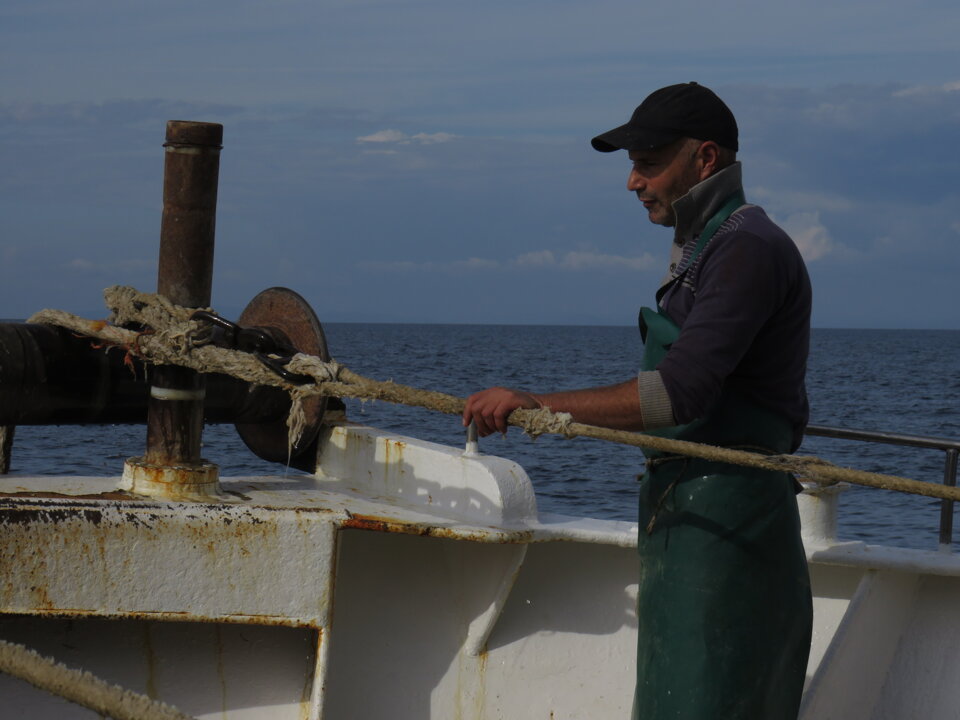 MEDITS 2017 MEDITS 2017