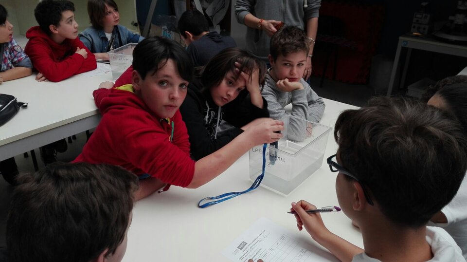 Attivit didattica presso Acquario di Livorno Attivit didattica presso Acquario di Livorno