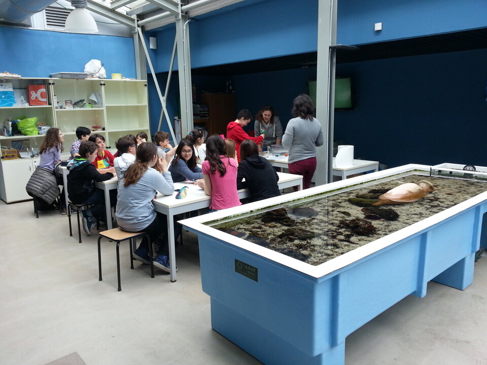Attivit didattica presso Acquario di Livorno Attivit didattica presso Acquario di Livorno