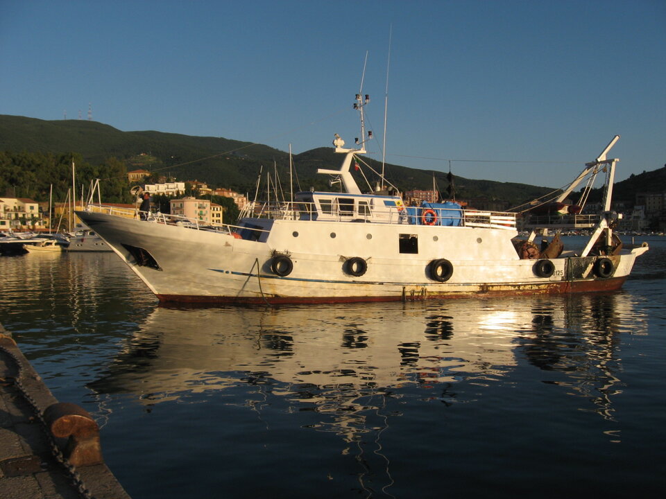 Campagna MEDITS Campagna MEDITS