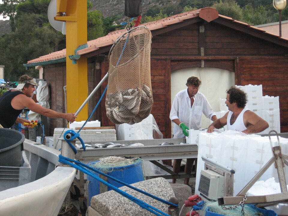 Valutazione impatto ambientale gabbie presso Isola di Capraia Valutazione impatto ambientale gabbie presso Isola di Capraia