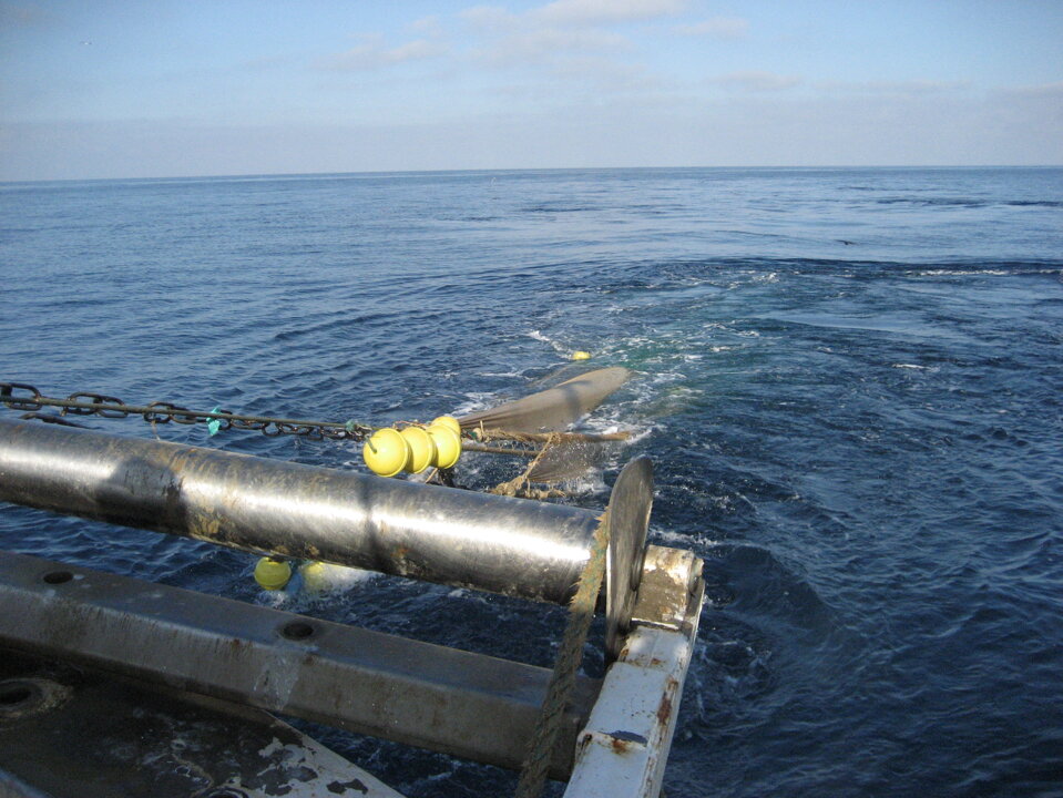 MEDITS 2009 MEDITS 2009