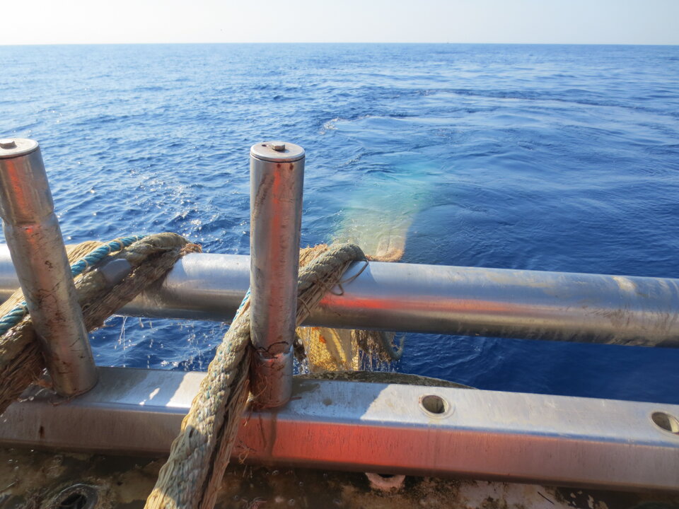 Campagne di pesca a strascico e reti da posta per valutazione ambientale rigassificatore offshore Campagne di pesca a strascico e reti da posta per valutazione ambientale rigassificatore offshore