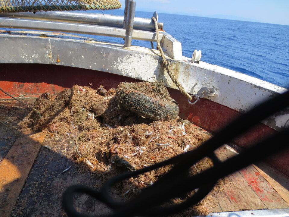 Campagne di pesca a strascico e reti da posta per valutazione ambientale rigassificatore offshore Campagne di pesca a strascico e reti da posta per valutazione ambientale rigassificatore offshore