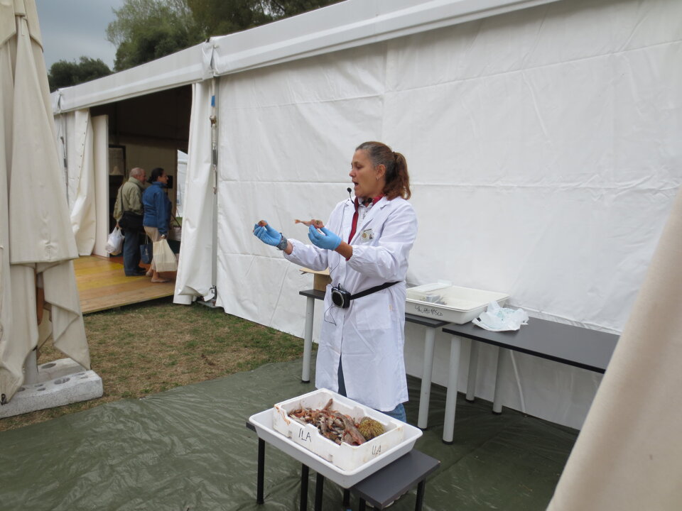 Exporurale 2012 Exporurale 2012