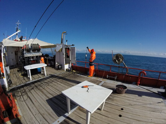 Sonda multiparametrica