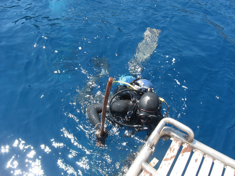 Valutazione impatto ambientale gabbie presso Isola di Gorgona Valutazione impatto ambientale gabbie presso Isola di Gorgona