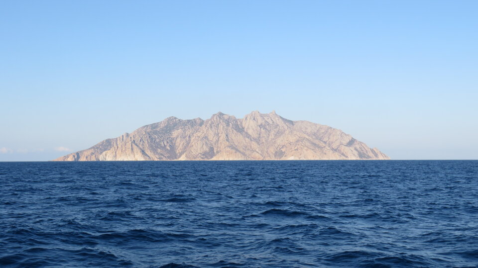 MEDITS 2017 MEDITS 2017