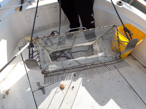 c0fd6956-eac2-44d3-beab-56dfe323a254 c0fd6956-eac2-44d3-beab-56dfe323a254