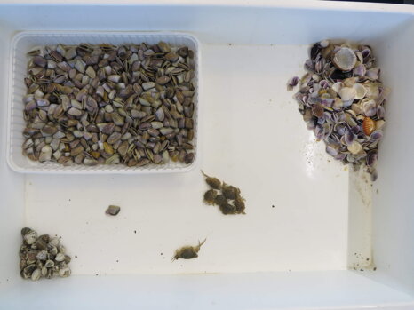 8769777d-911b-49ee-b014-709379bf521d