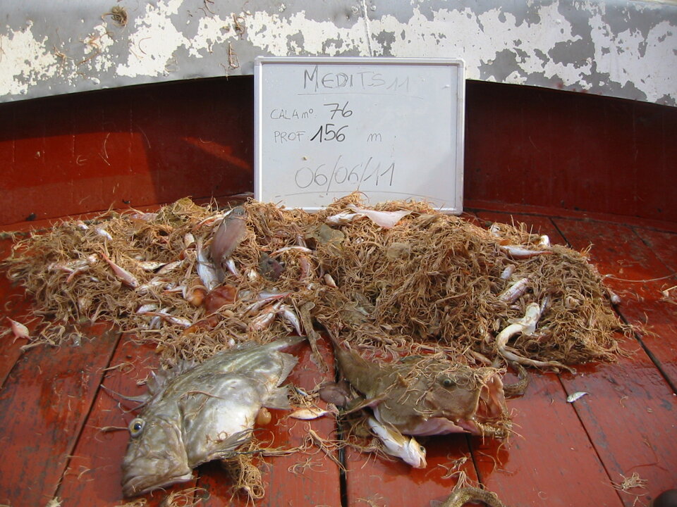 MEDITS 2011 MEDITS 2011