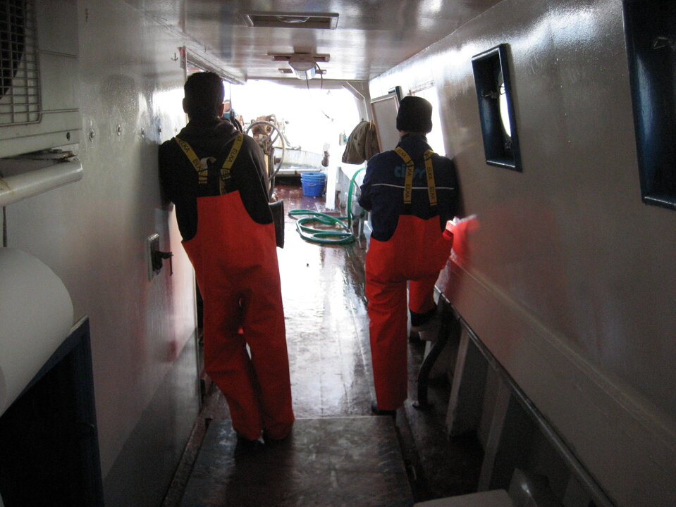 Campagna GRUND 2006 Campagna GRUND 2006