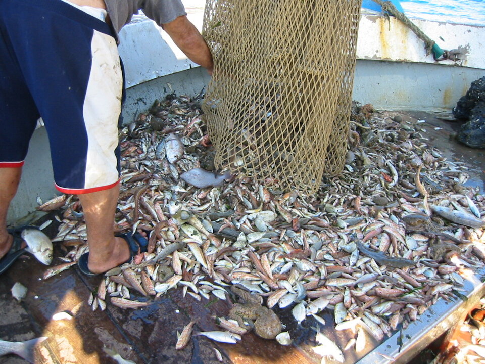 Campagna GRUND 2005 Campagna GRUND 2005