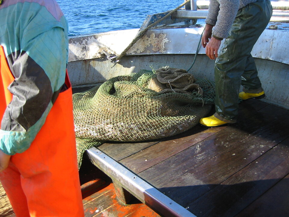 Campagna GRUND 2005 Campagna GRUND 2005