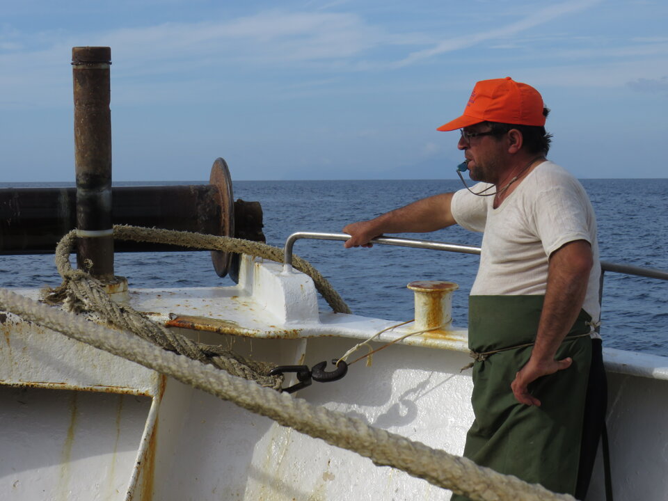 MEDITS 2017 MEDITS 2017