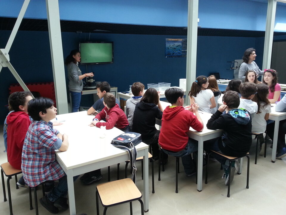 Attivit didattica presso Acquario di Livorno Attivit didattica presso Acquario di Livorno