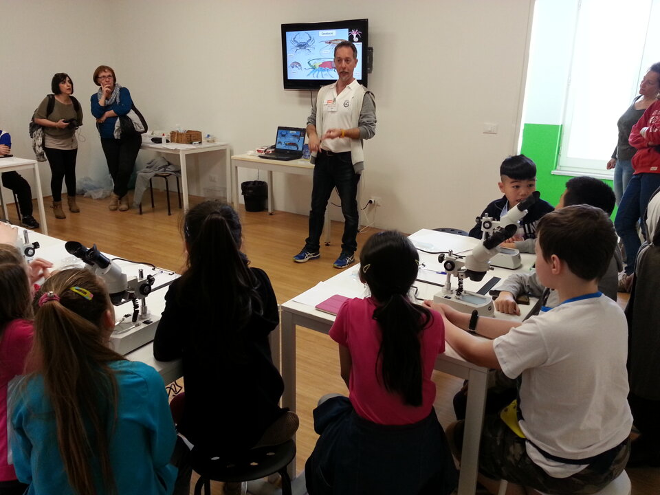 Attivit didattica presso Acquario di Livorno Attivit didattica presso Acquario di Livorno