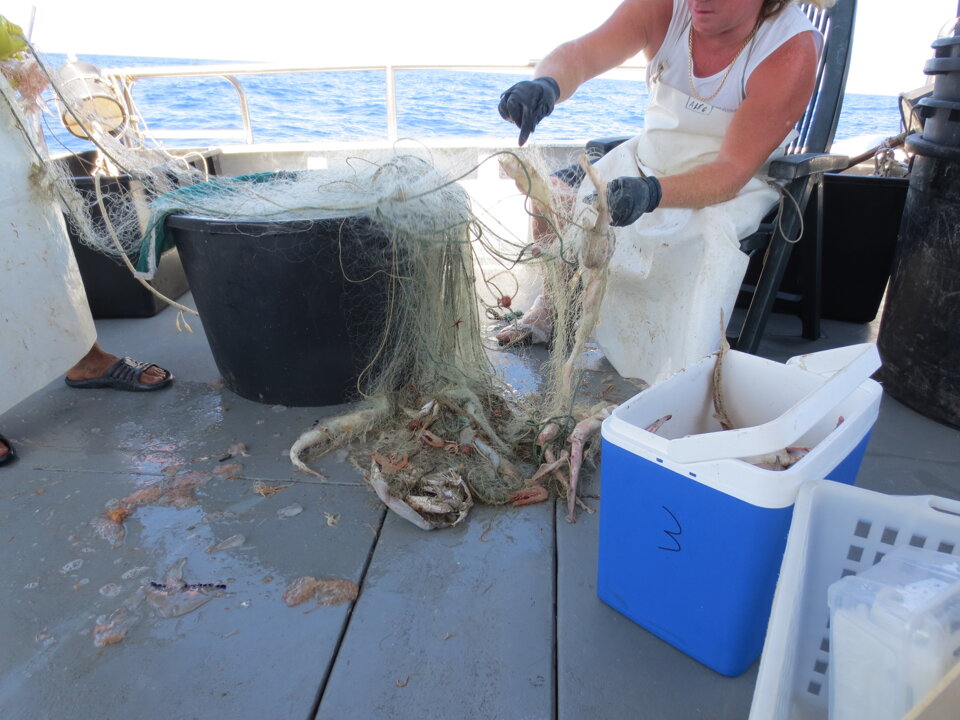 Campagne di pesca a strascico e reti da posta per valutazione ambientale rigassificatore offshore Campagne di pesca a strascico e reti da posta per valutazione ambientale rigassificatore offshore
