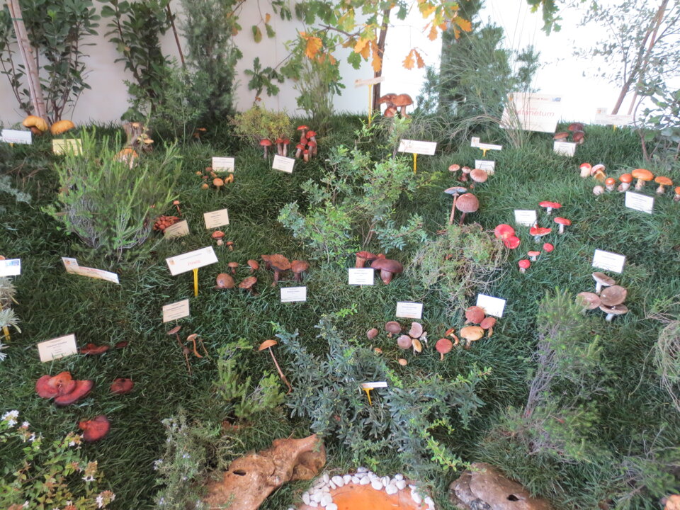 Exporurale 2012 Exporurale 2012