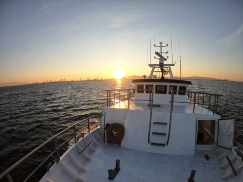 cf9a9a23-2682-43b6-80a6-9b47140d53ca