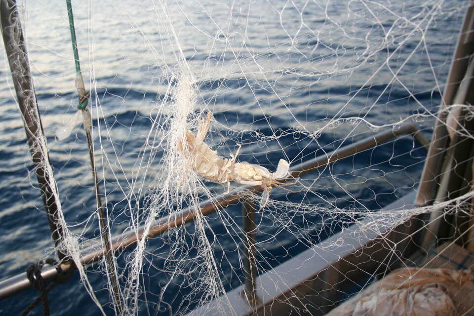 Progetto MINOUW Progetto MINOUW