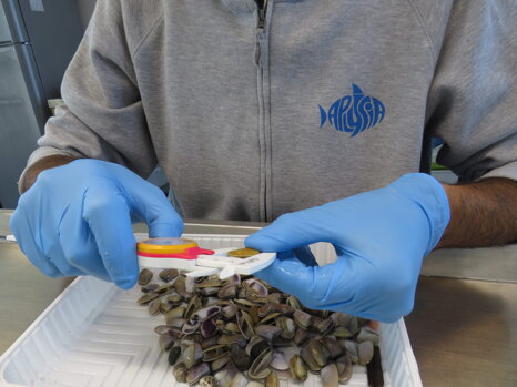 4bbc5614-d1c6-421c-be5d-d5d746e9081a