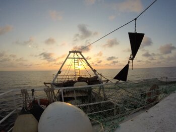 36b39524-fa37-479e-bfc1-5c5a8ca5eb64