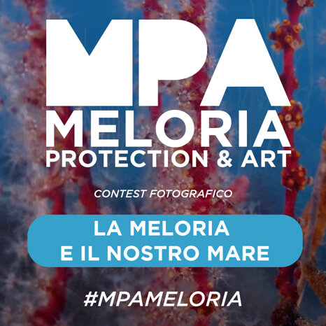 20b0b3b3-660c-47fe-94f1-9dc30345e54b