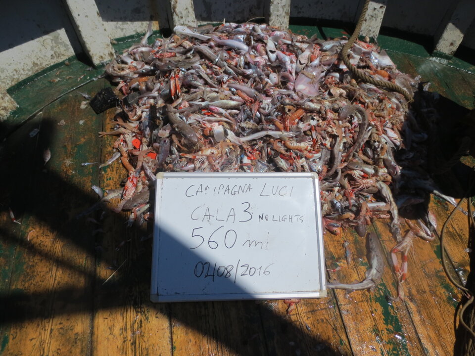 Progetto MINOUW Progetto MINOUW