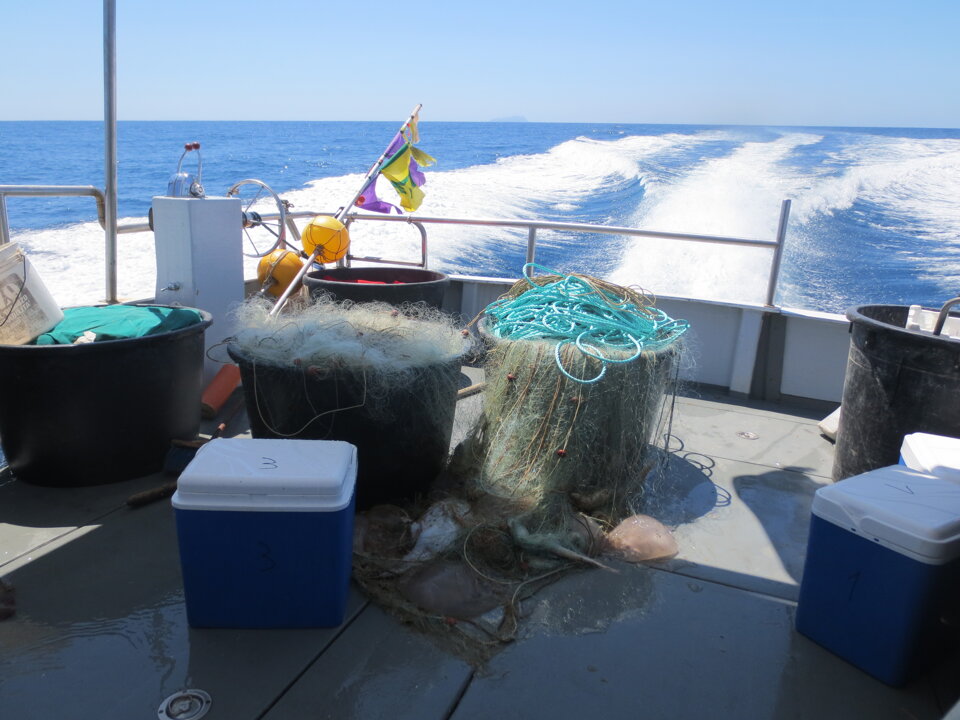 Campagne di pesca a strascico e reti da posta per valutazione ambientale rigassificatore offshore Campagne di pesca a strascico e reti da posta per valutazione ambientale rigassificatore offshore