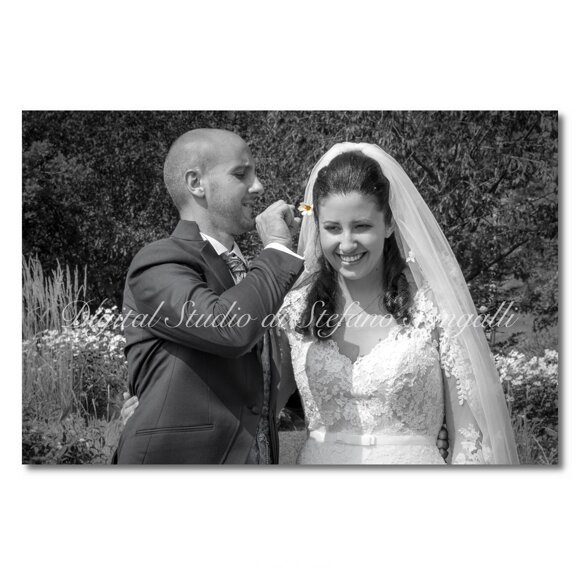 e4409860-6add-4985-a035-75b73df72fc6