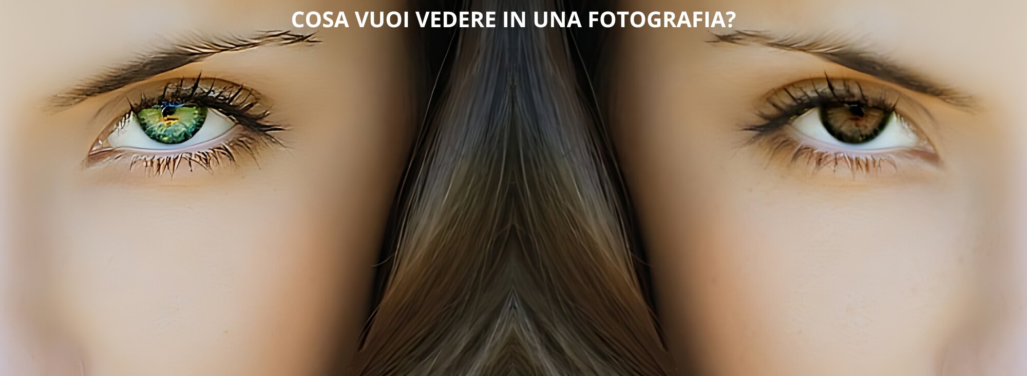 Cosa vuoi vedere in una fotografia? Cosa vuoi vedere in una fotografia?