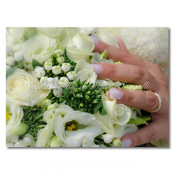 b8d9997c-e895-4794-bf99-61ffd4d6bf28