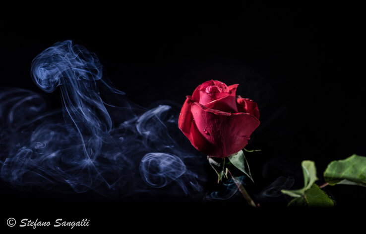 f798a508-6384-44f9-9bbf-d068931f40ee f798a508-6384-44f9-9bbf-d068931f40ee