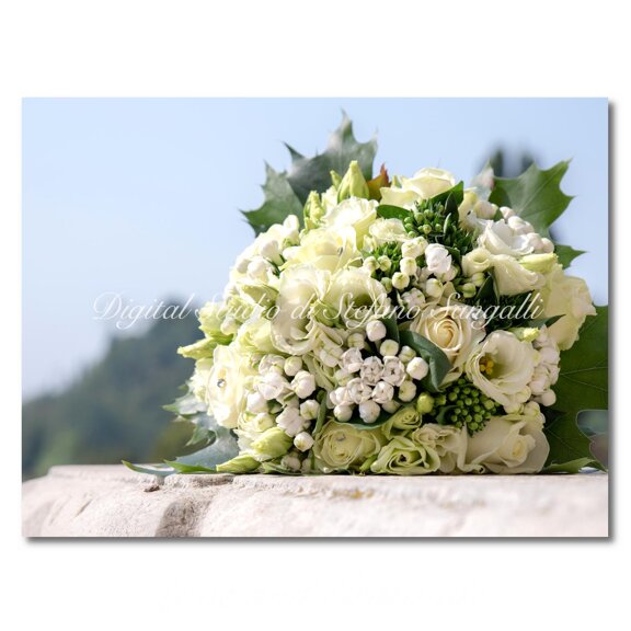 8f3e2030-31b7-4a33-adba-4e6ee1d36d94