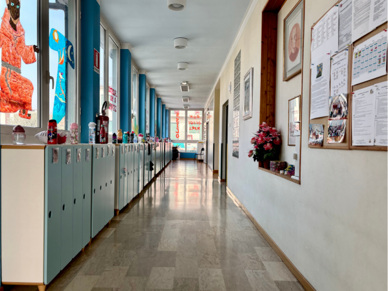 4d278a02-1eec-43d2-980a-0b386c9fb54a 4d278a02-1eec-43d2-980a-0b386c9fb54a