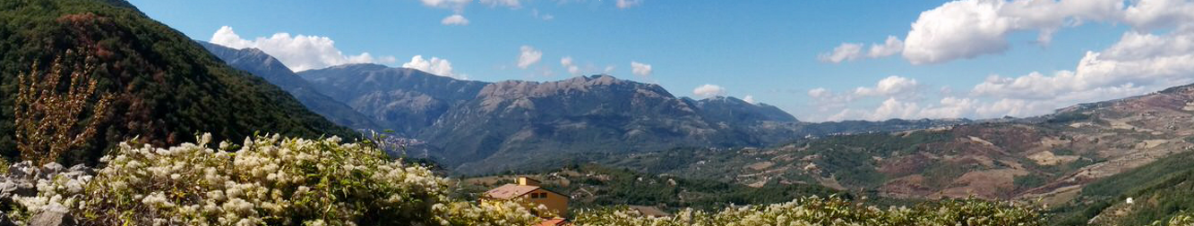 8668e8dc-219f-4fc4-86c6-7881c55a1472 8668e8dc-219f-4fc4-86c6-7881c55a1472