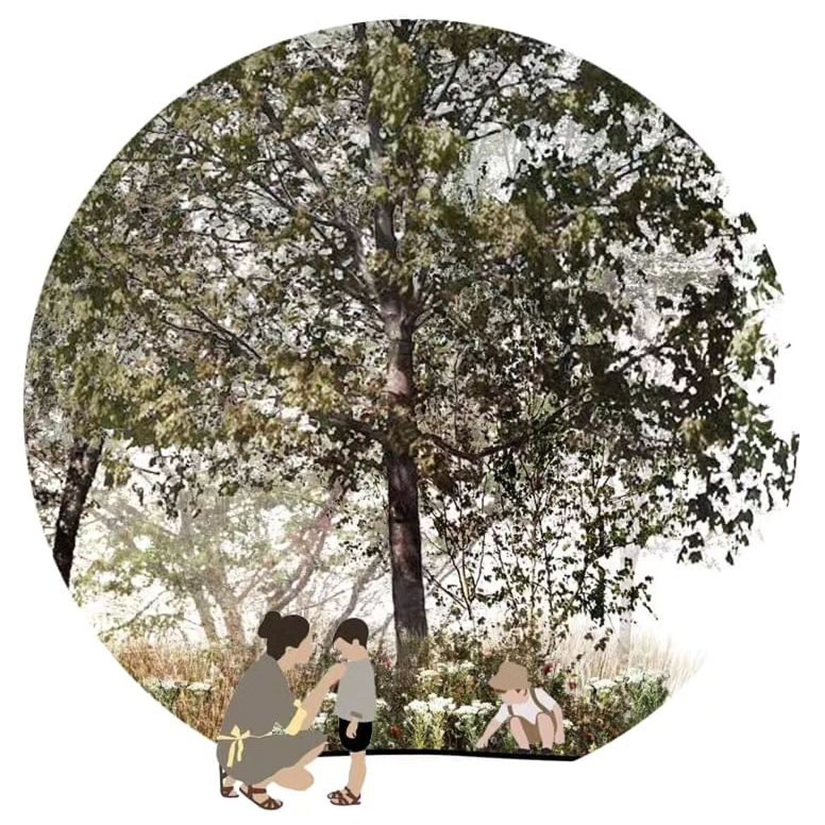 Giardino botanico didattico, Bitetto BA