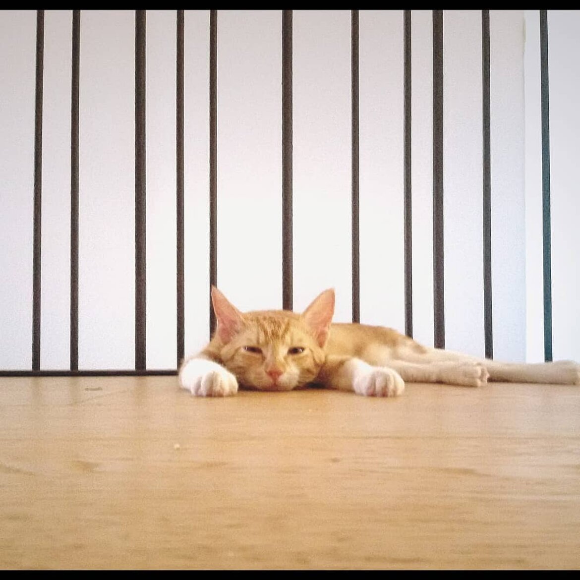 Casa NASS - Modugno BA