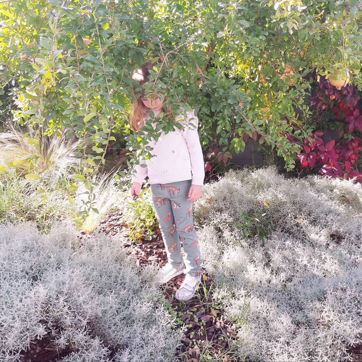 Giardino Fondazione Defeo-Trapani, Giovinazzo BA