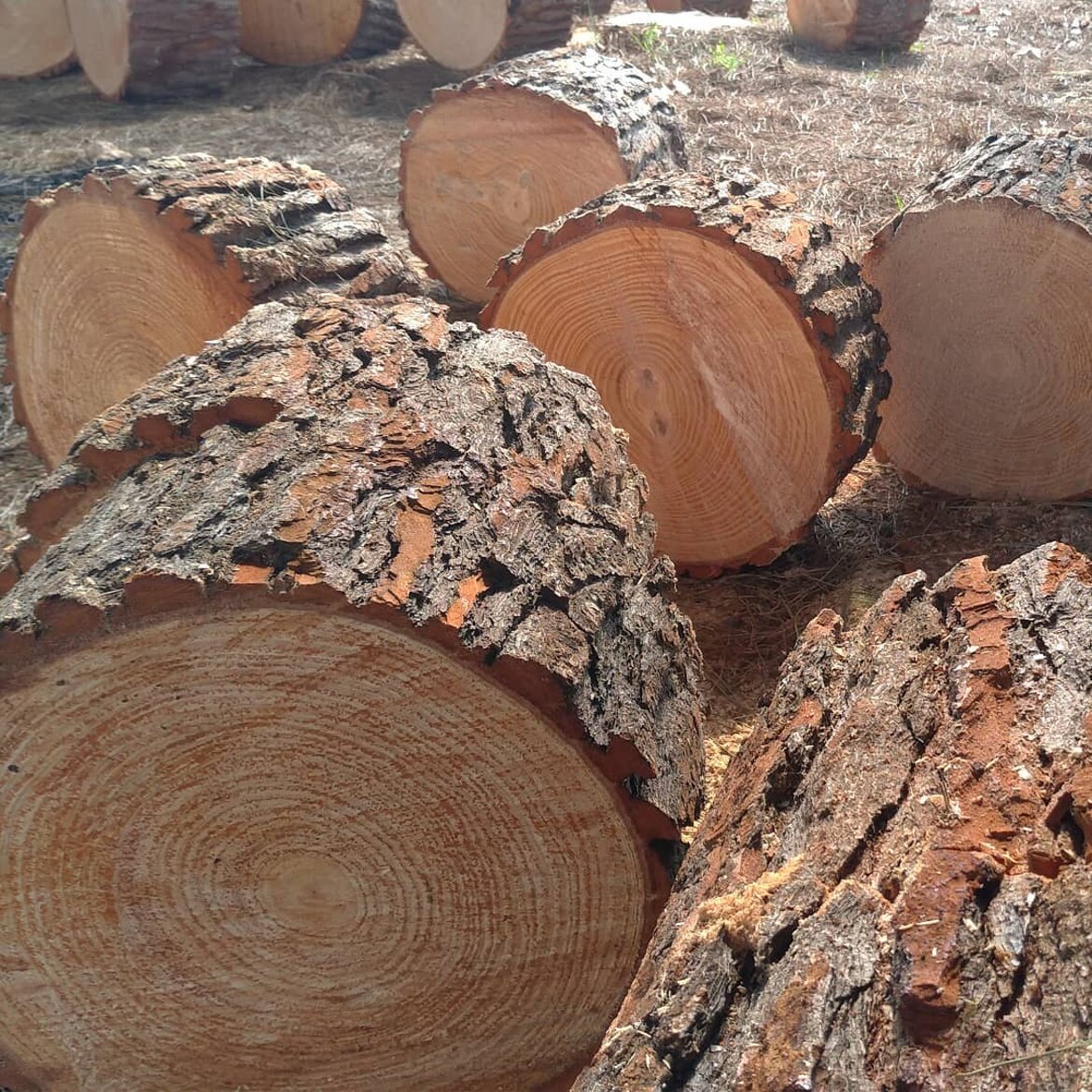 Premio Rigenera 1� Edizione - Finalisti