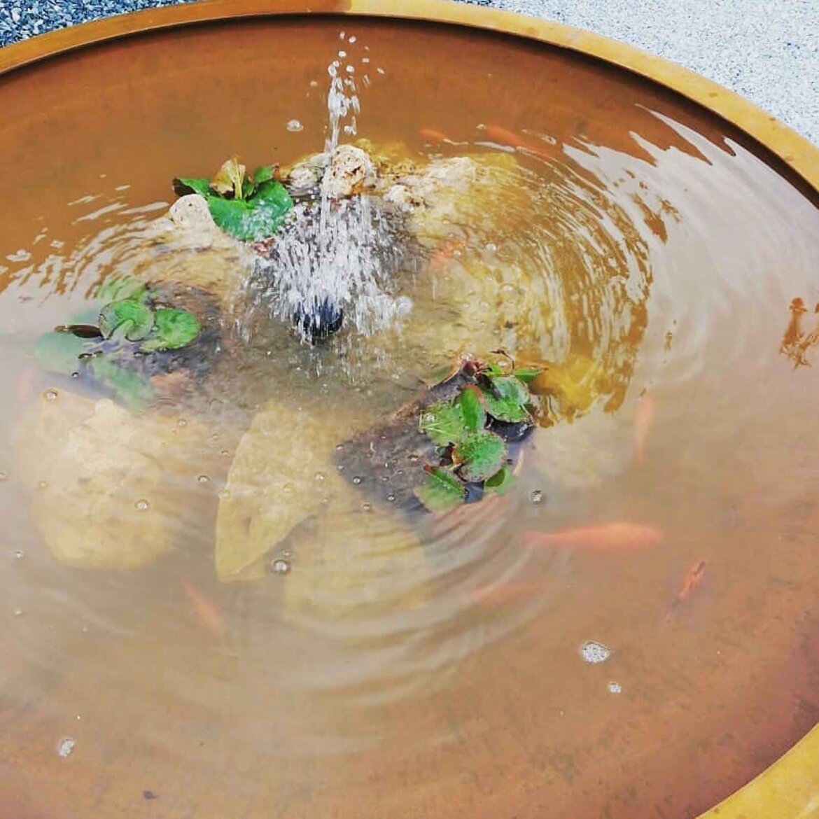 Giardino Fondazione Defeo-Trapani, Giovinazzo BA