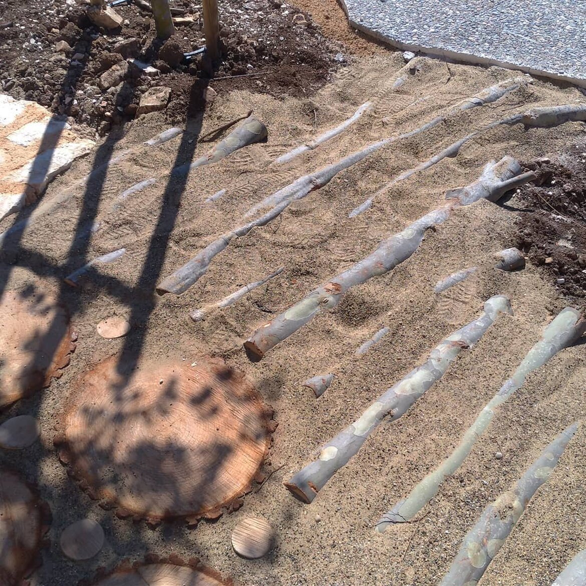 Premio Rigenera 1� Edizione - Finalisti