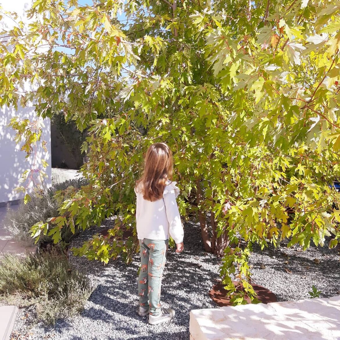 Giardino Fondazione Defeo-Trapani, Giovinazzo BA