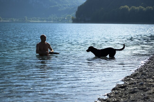 9b8f0c18-3860-49fc-9b4a-836d243a2f71 9b8f0c18-3860-49fc-9b4a-836d243a2f71