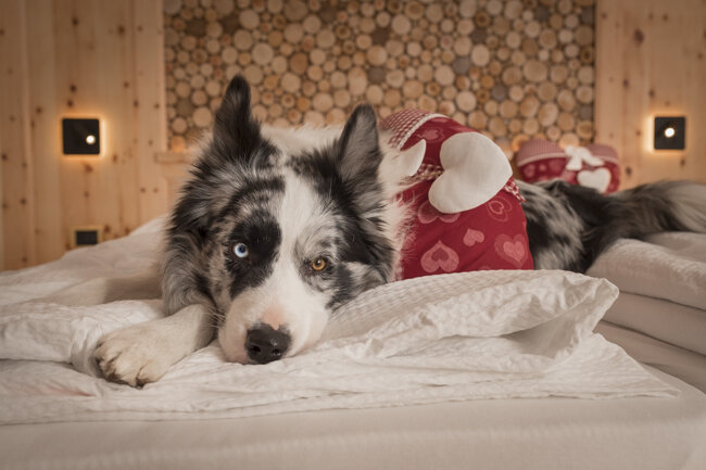 12cfccc5-33c0-4a3a-b5ef-85a154b96cfb