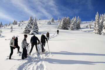 d644eebc-6bee-411c-b1da-9fe93be14e17 d644eebc-6bee-411c-b1da-9fe93be14e17