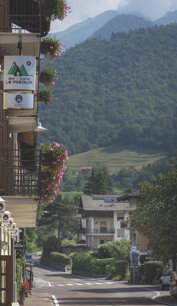 9a5a0076-ae38-4d0a-ab15-332701f788e7 9a5a0076-ae38-4d0a-ab15-332701f788e7