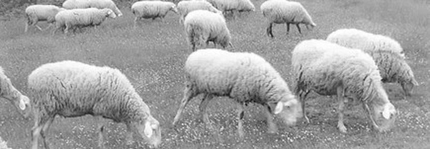 fb7a4b41-3ebf-46ce-83cd-1992064c116c