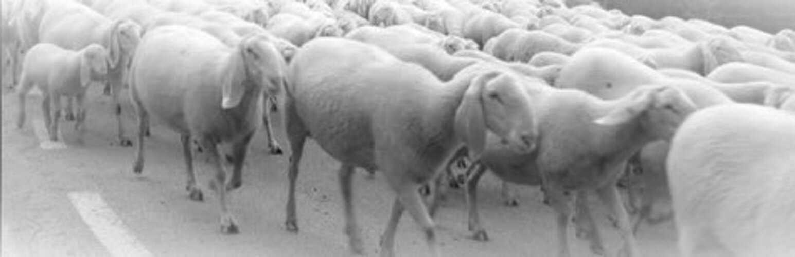 5bf59a25-461b-48c9-a5a1-e7a7919c05d8